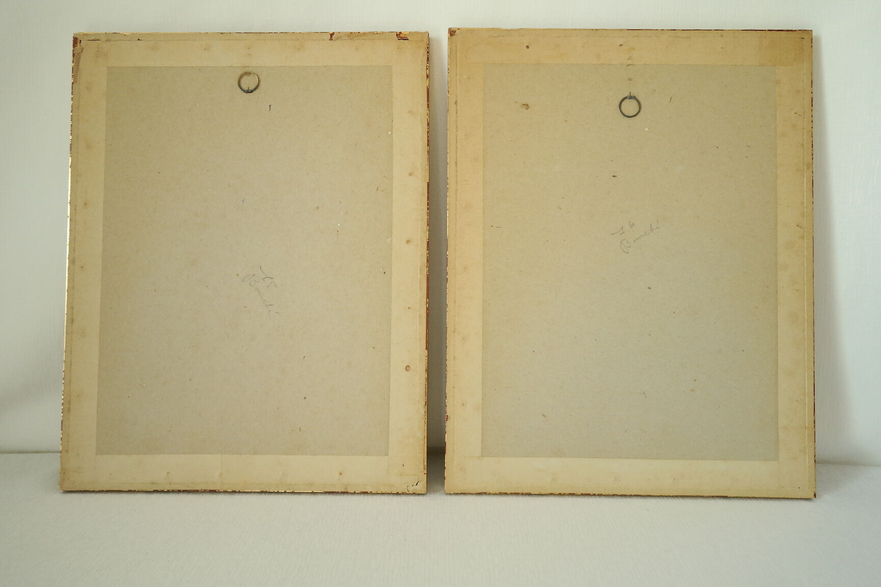 Paire de lithographies oiseaux sous cadre vintage