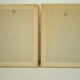 Paire de lithographies oiseaux sous cadre vintage