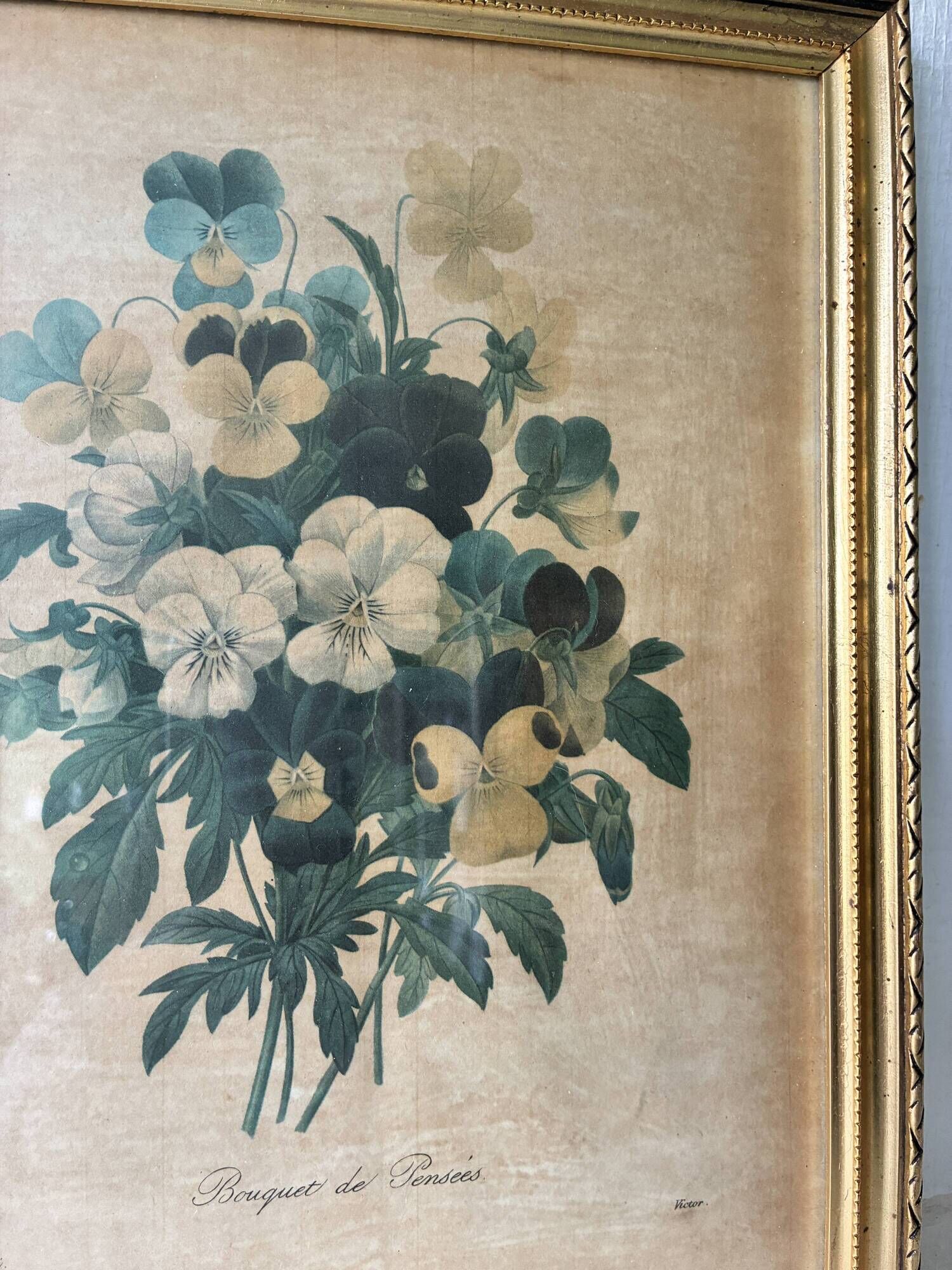 Lithographie encadrée bouquet de violettes PJ Redouté