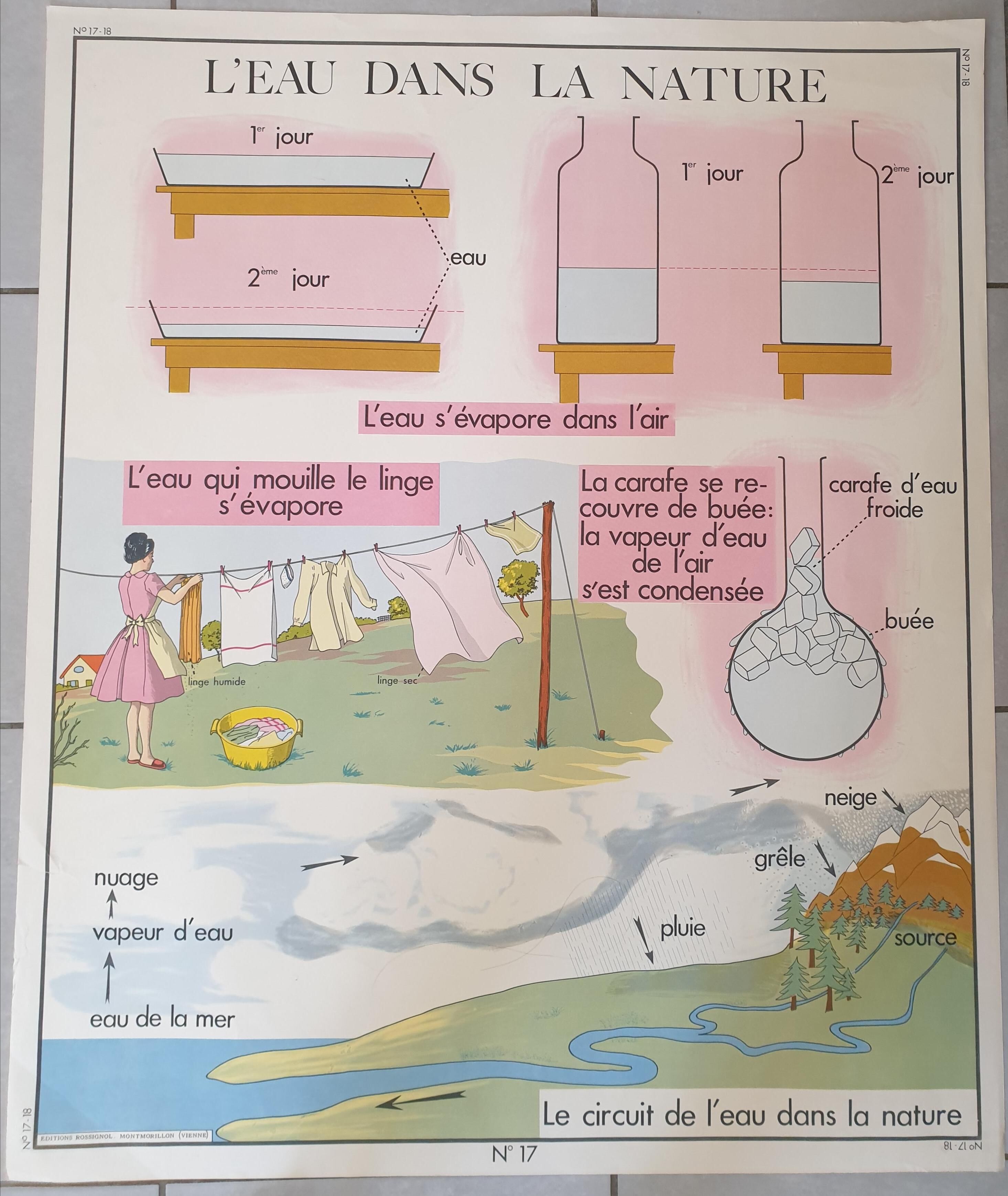 Vintage nightingale pedagogical poster
