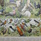 Lithograph • Birds 1, species, raptors • Original lithograph of 1898