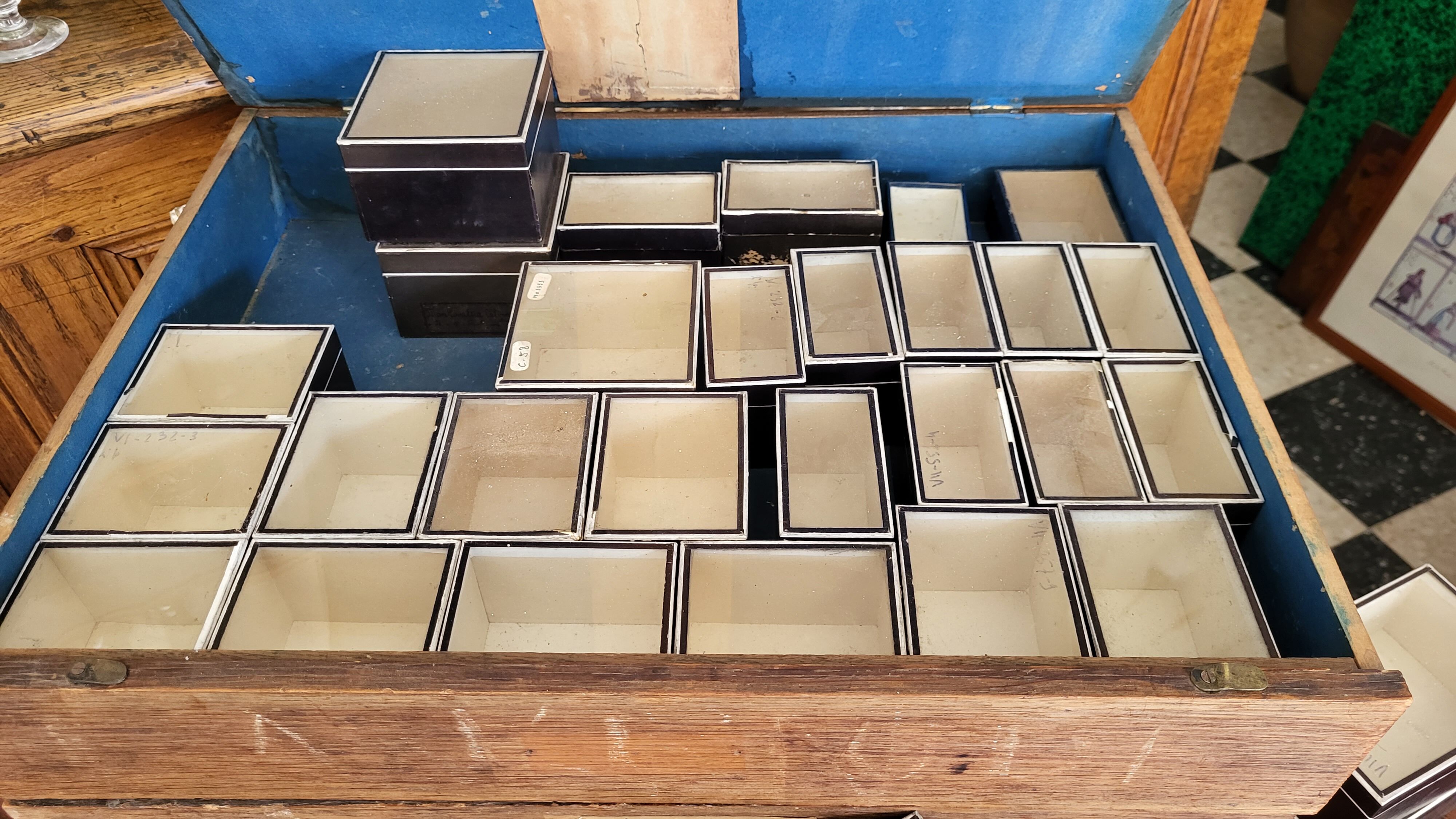 Individual box Entomology Cardboard / Glass