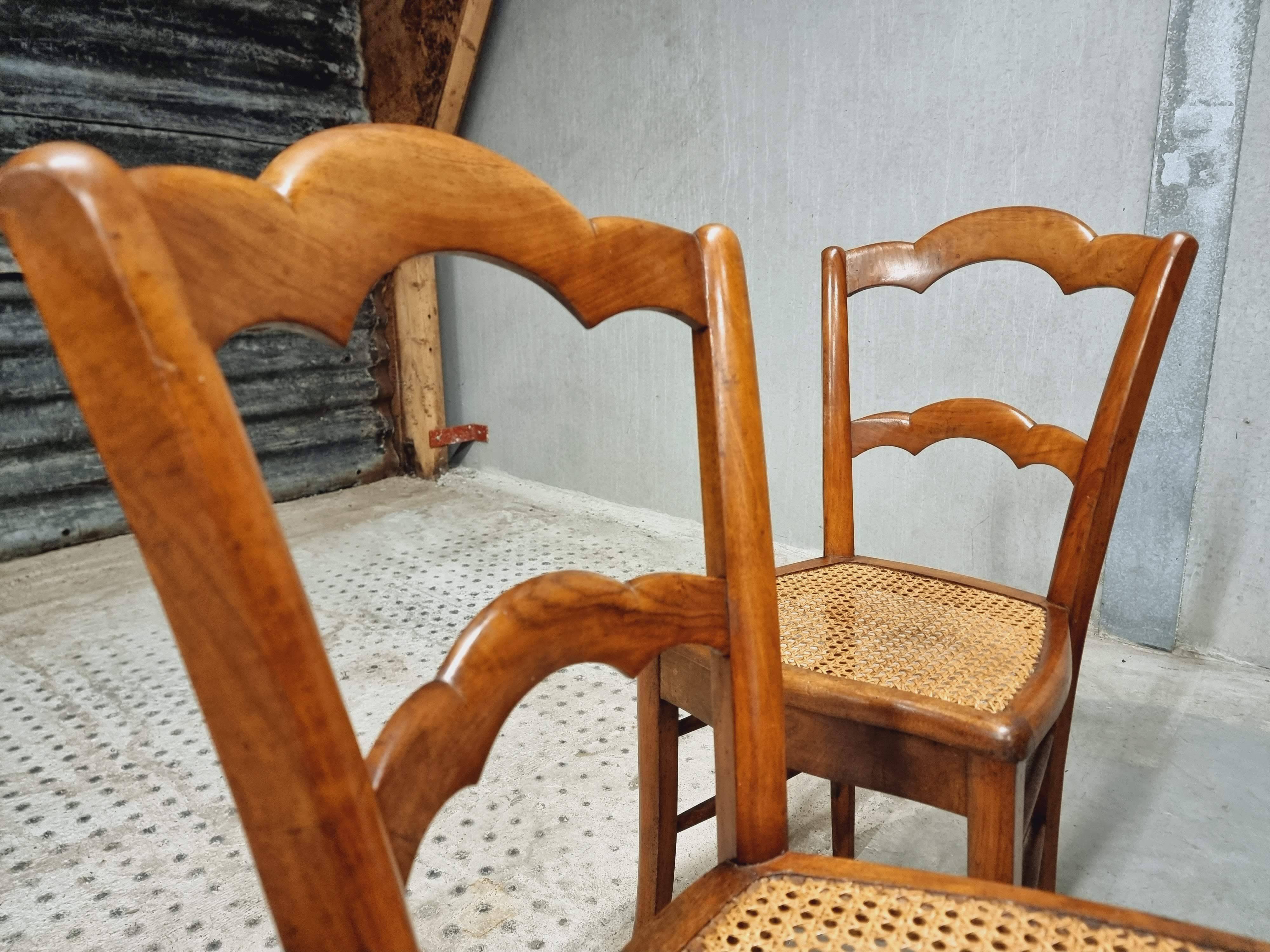 Antique set of chairs walnut with webbing