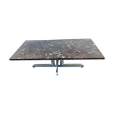 Fossilized marble coffee table