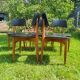 Lot de 5 chaises scandinaves