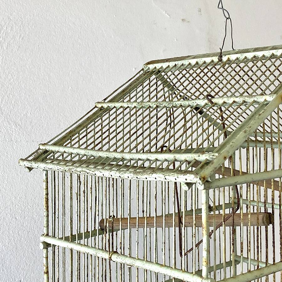 Cage à oiseaux