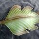 giant painted metal wall sconces Murano glass leaf 63cm