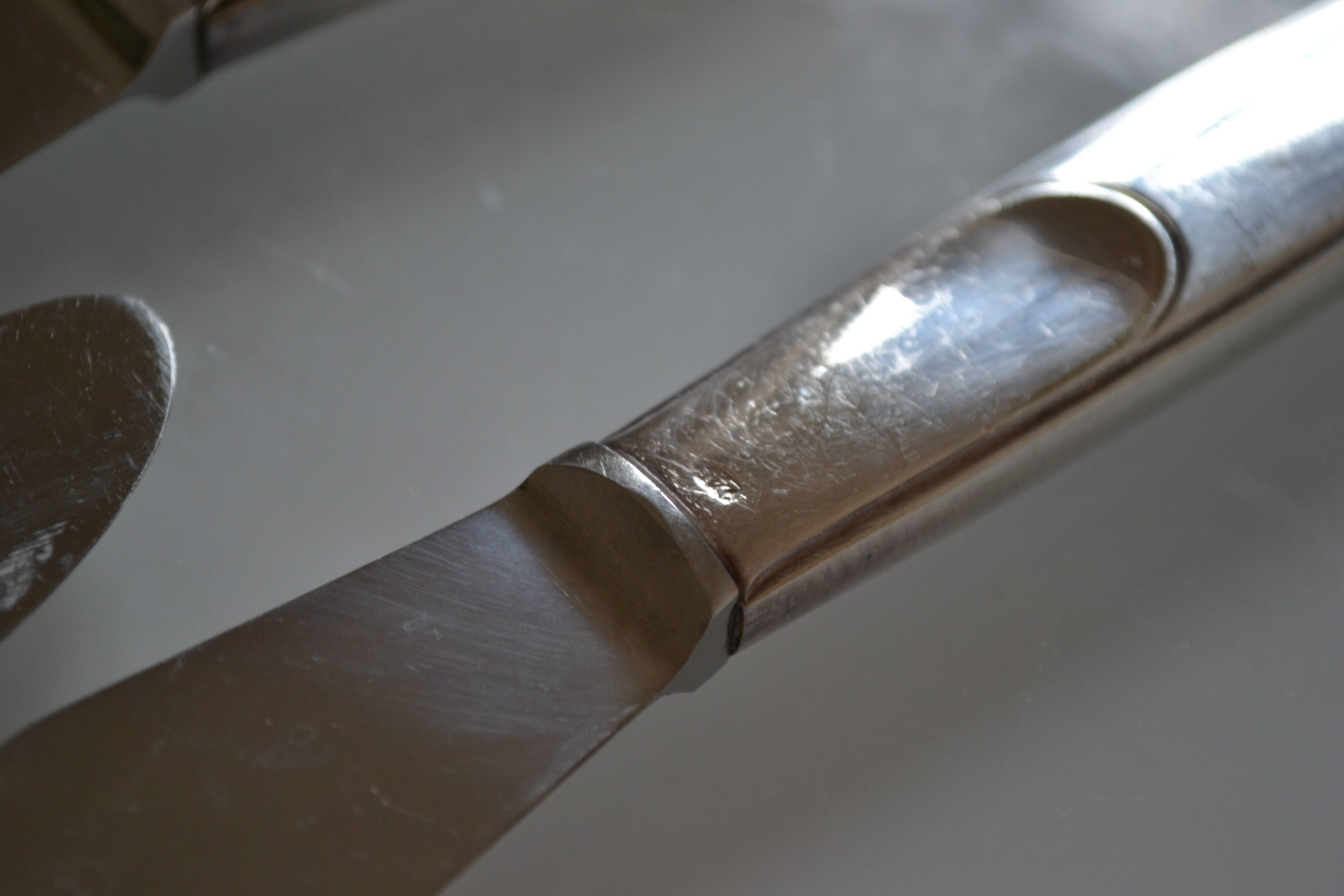 12 table knives silver metal handles & stainless steel blades 22 cm