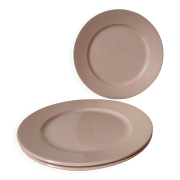 Vintage dessert plate in earthenware - Digoin & Sarreguemines