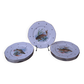 Set of 9 flat plates Limoges Fish service