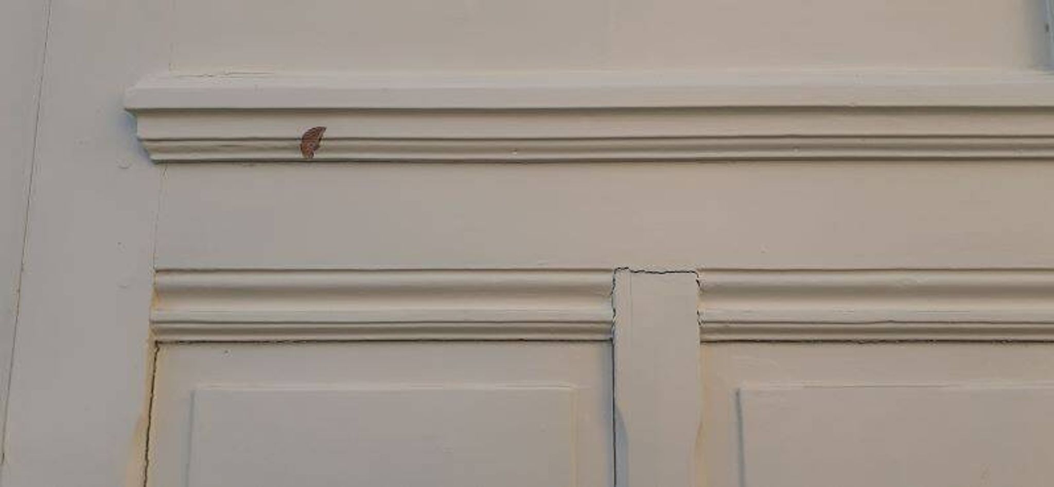 81.2x212 door and old molded paneled communication frame