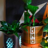 Ceramic potter's pot cover vase 50s