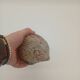 Hedgehog Statuette Zoomorphic Brutalist Sculpture Molded Pottery 20th Century