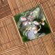 Rattan coffee table and ceramics