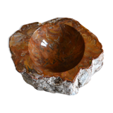 Empty pocket or ashtray in fossilized wood