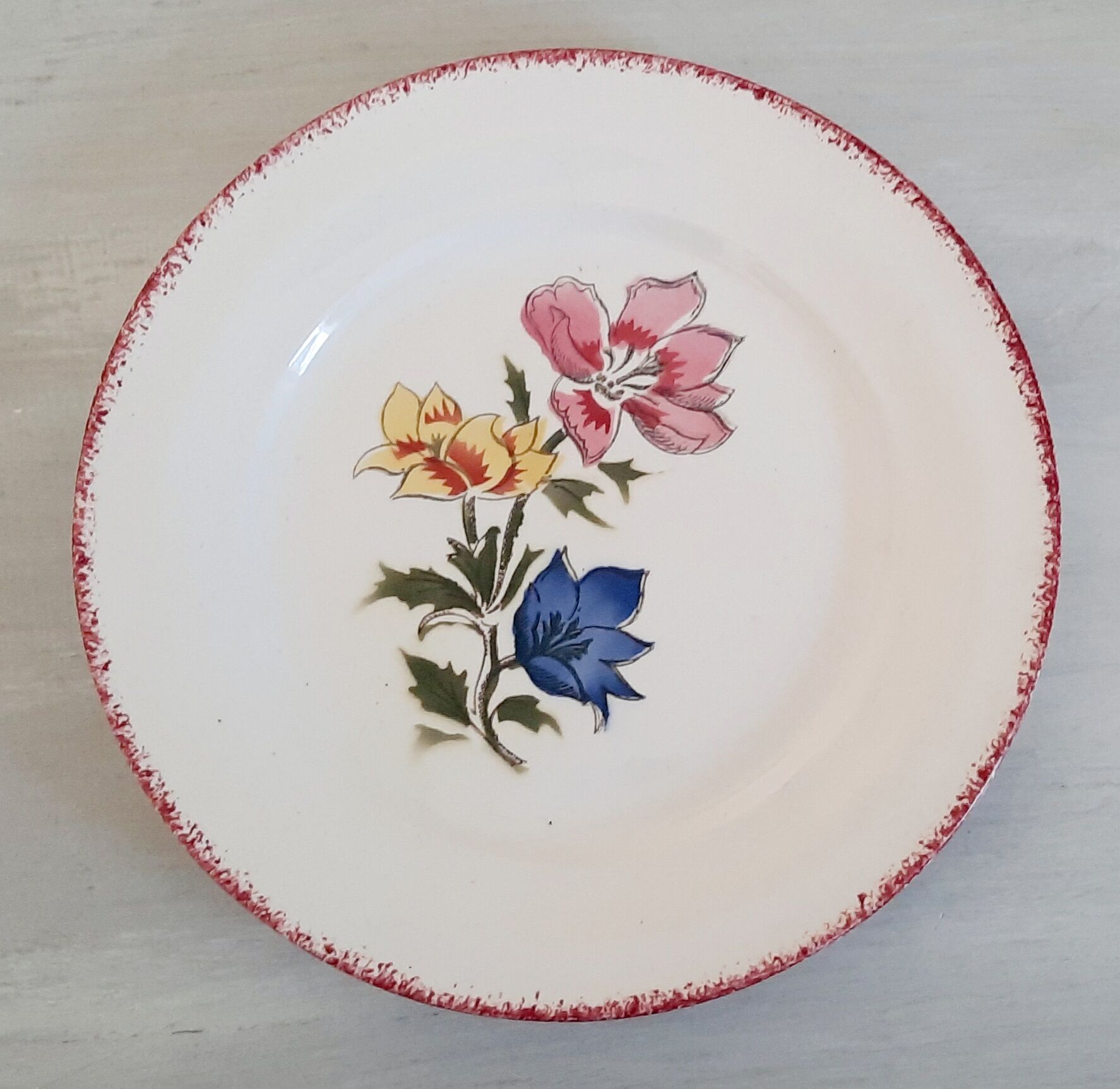 Flat faience plates from Saint-Amand Ceranord vintage maïté model