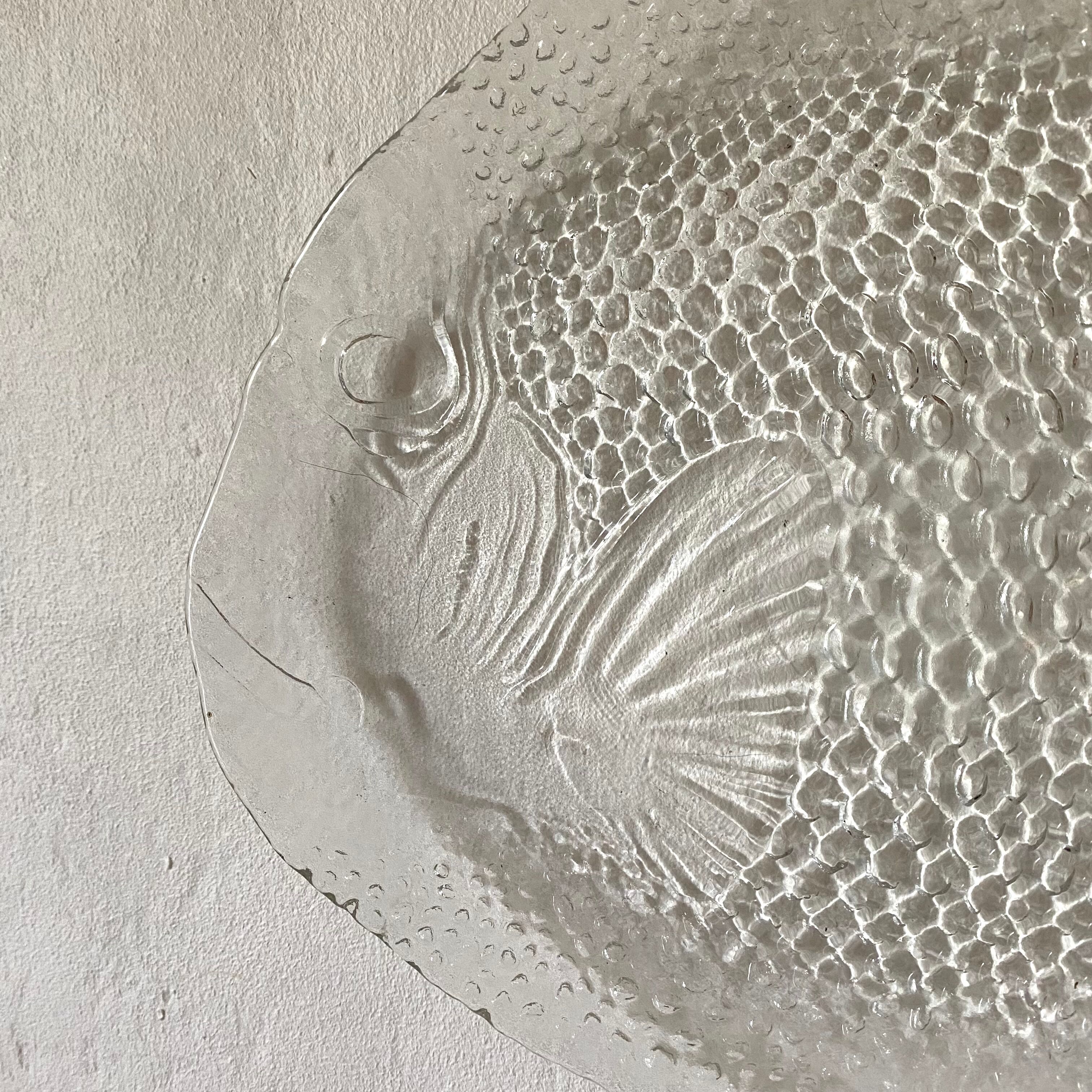Glass fish plates