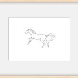 Horse - Balzac