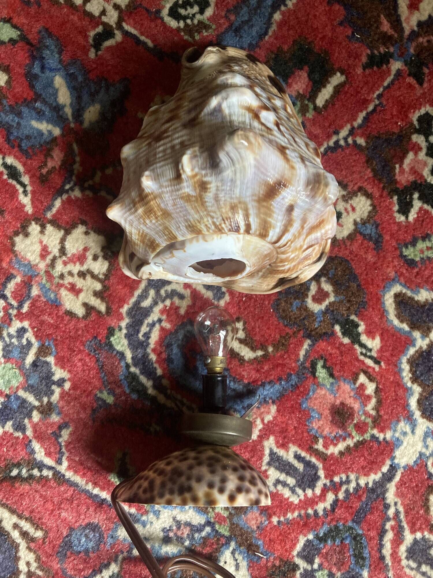 Shell lamp 1970 vintage mother-of-pearl to pose or bedside