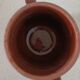 Terracotta pot cover Made in France