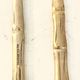 Vintage serving fork and knife, Hollywood Regency - circa 19