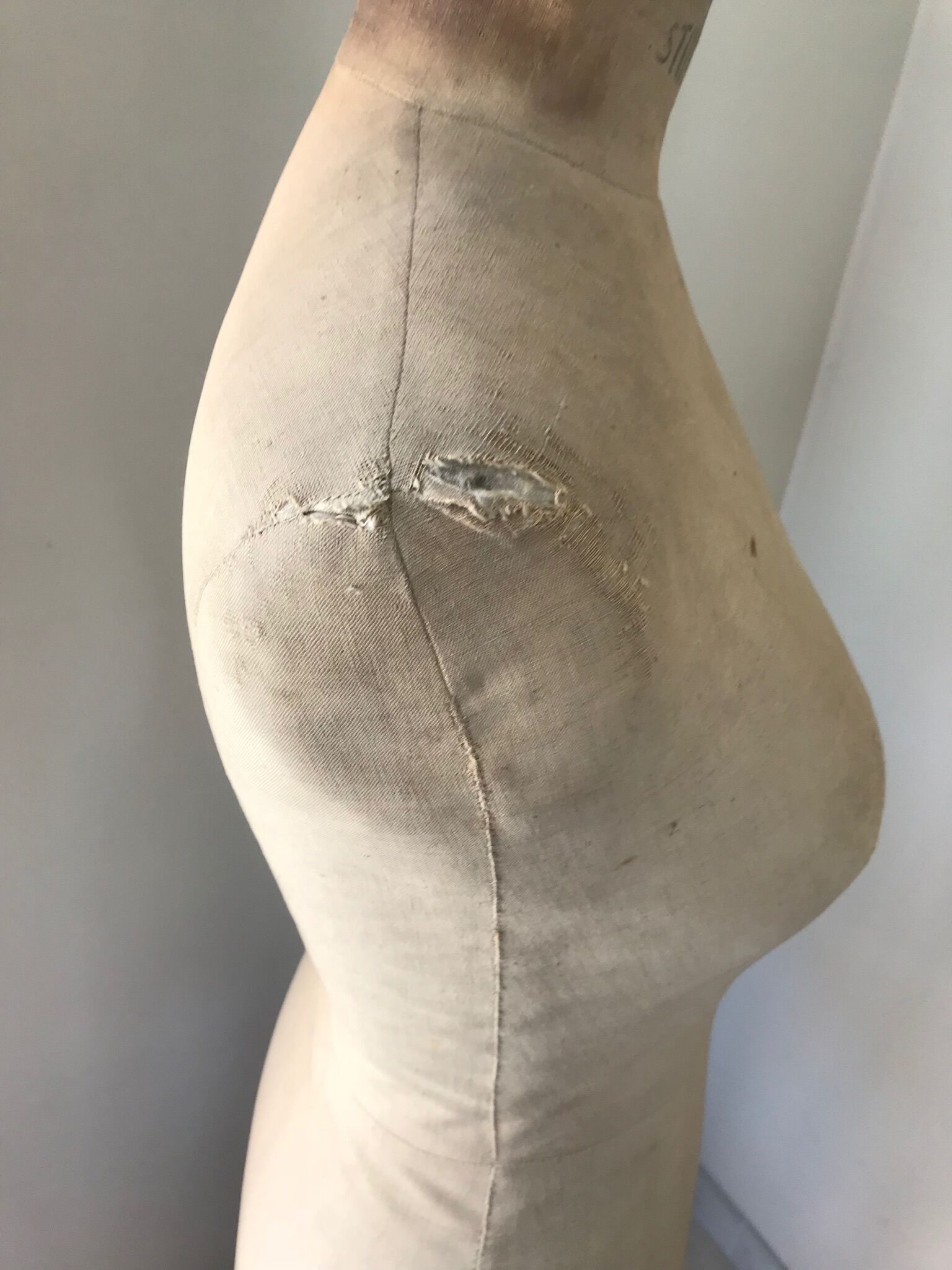 Siegel paris stockman mannequin