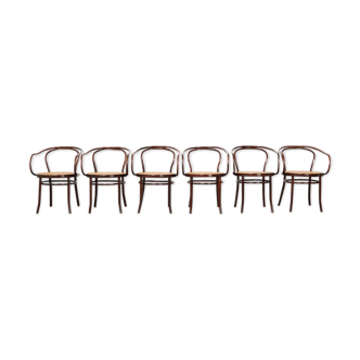 Set of 6 cane and bentwood dining chairs 1900 / 1970s