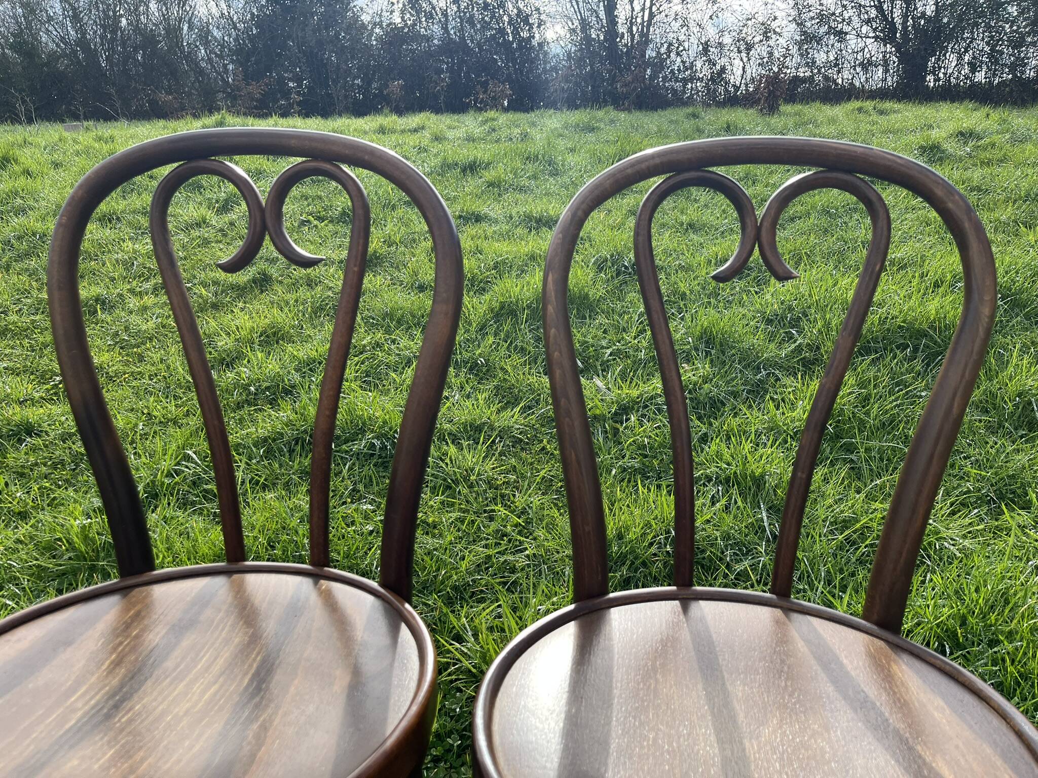 Paire de chaise bistrot en bois courbé Thonet