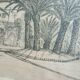Old painting drawing in ink signed , Les Palmiers