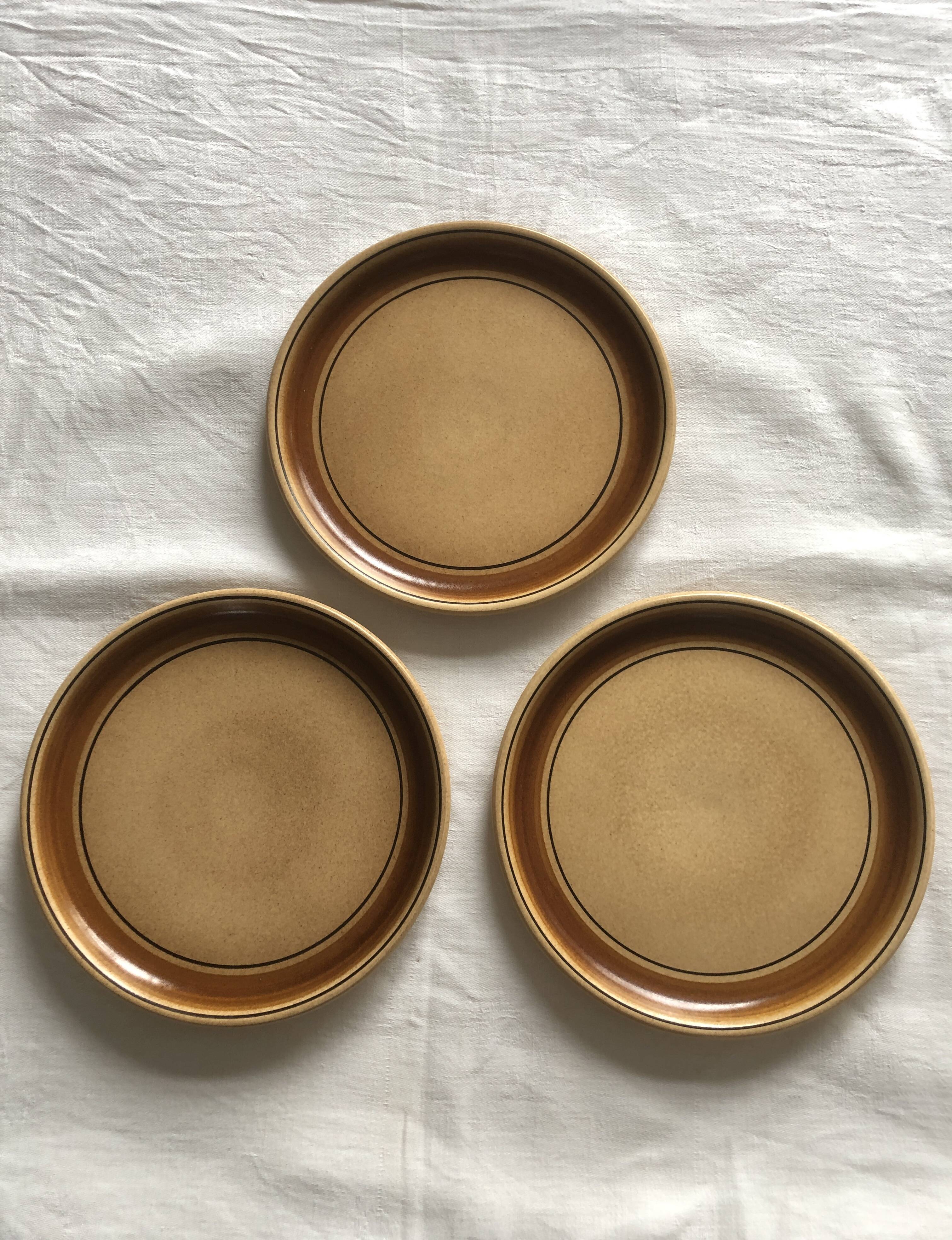 Salins stoneware dinner plates