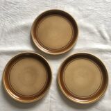 Salins stoneware dinner plates