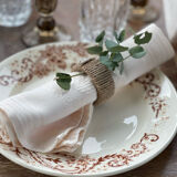 6 old plates in iron earth.