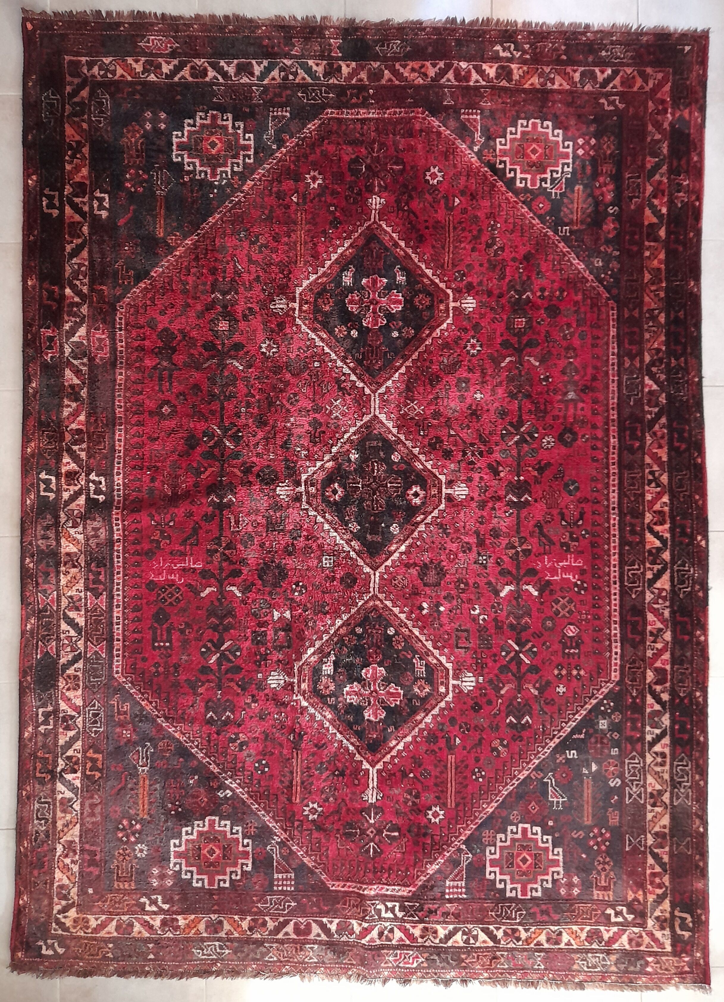 Shiraz carpet 295x215cm