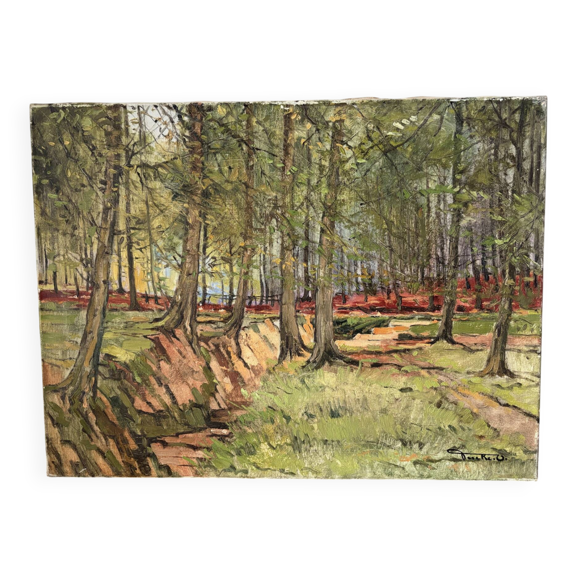 Soignes Forest, oil on canvas signed
