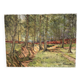 Forêt de Soignes, huile sur toile signée