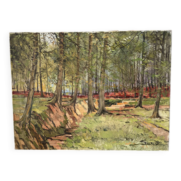 Soignes Forest, oil on canvas signed