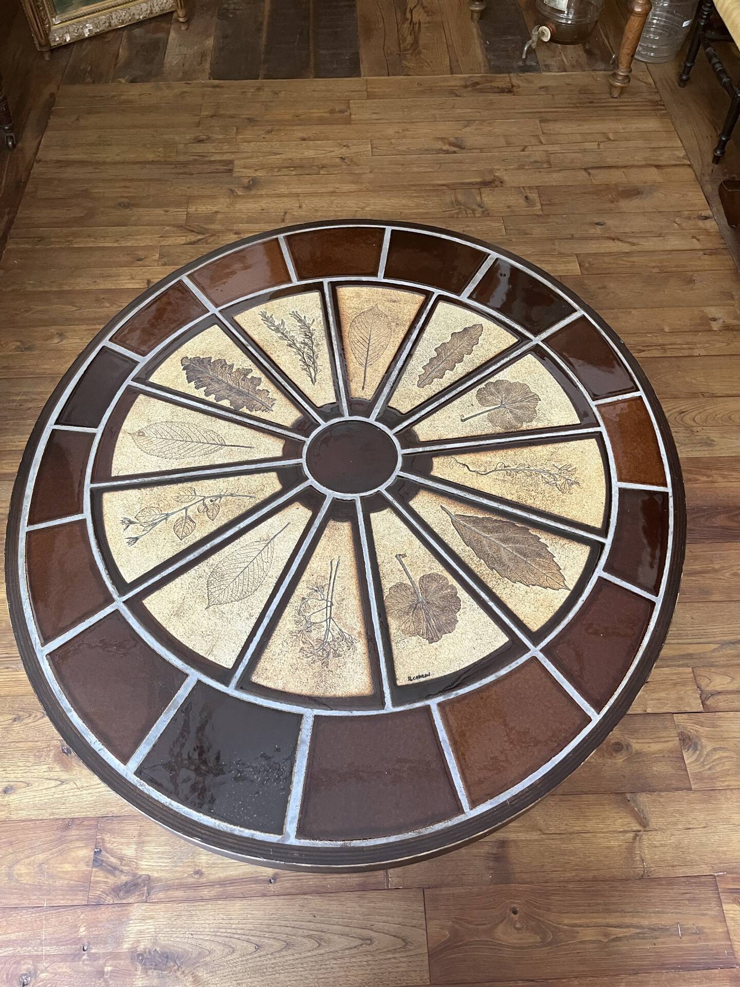 Herbarium coffee table Roger Capron