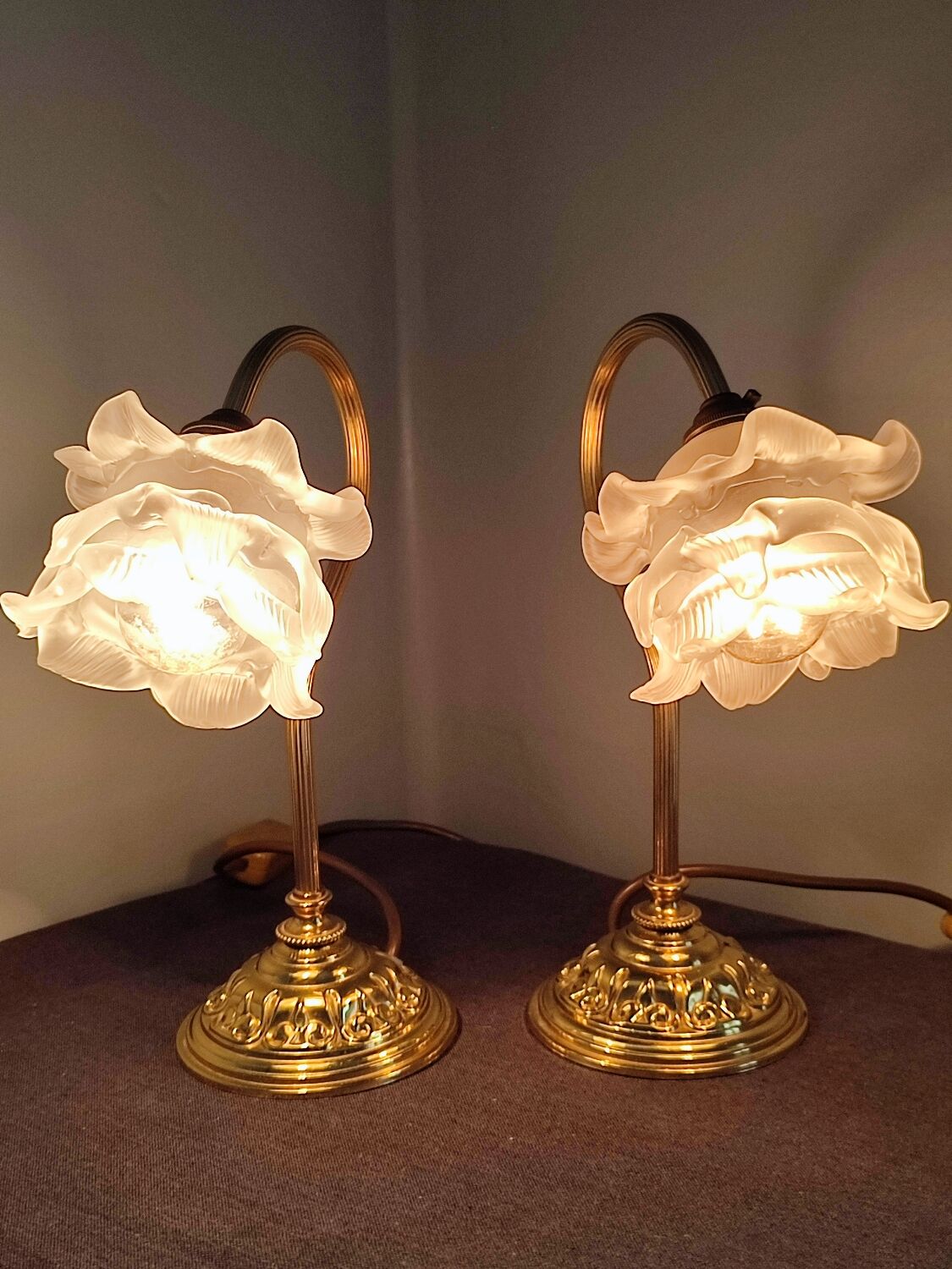 Pair of vintage gooseneck lamp