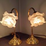 Pair of vintage gooseneck lamp
