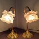 Paire de lampe col de cygne vintage