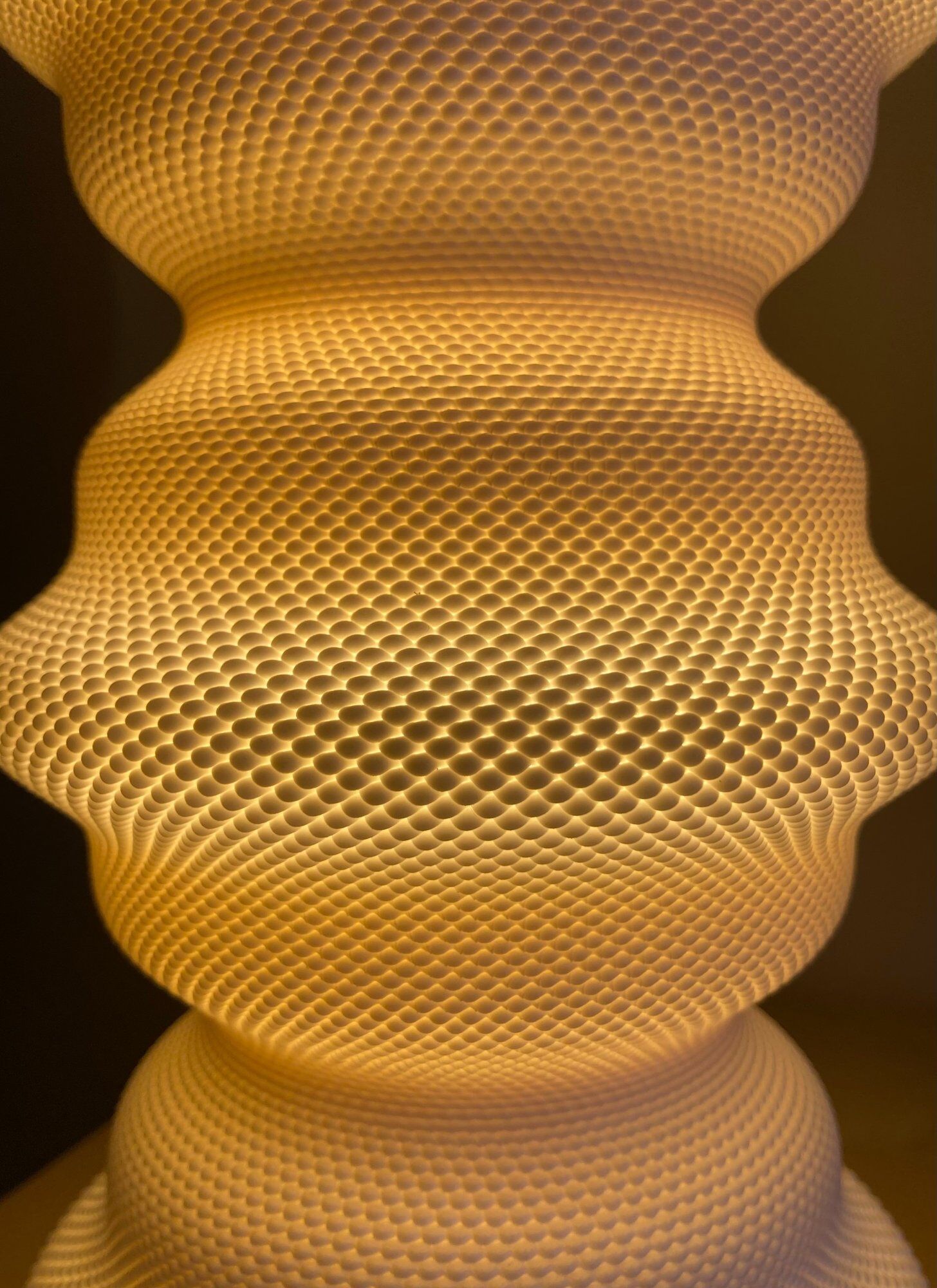 Organic design lamp in biopolymer