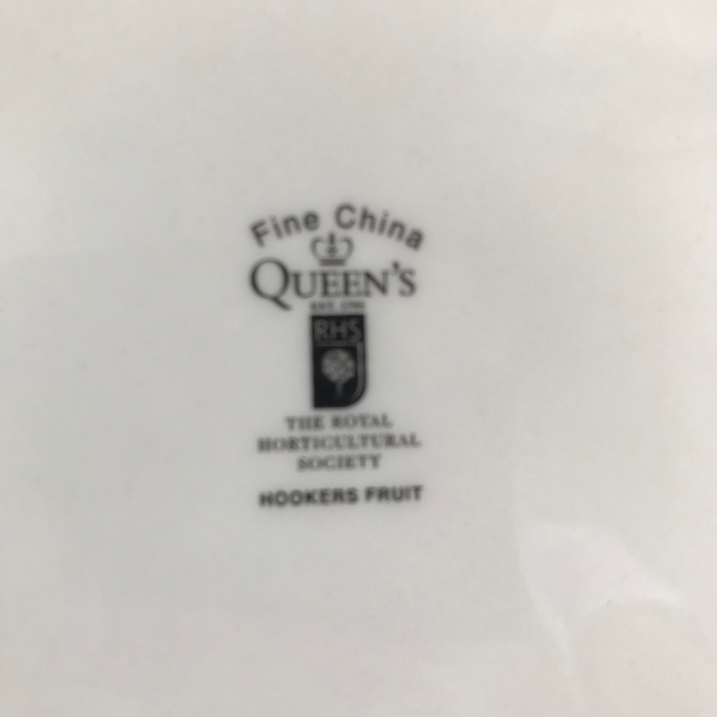 Lot of 6 plates botanical decoration