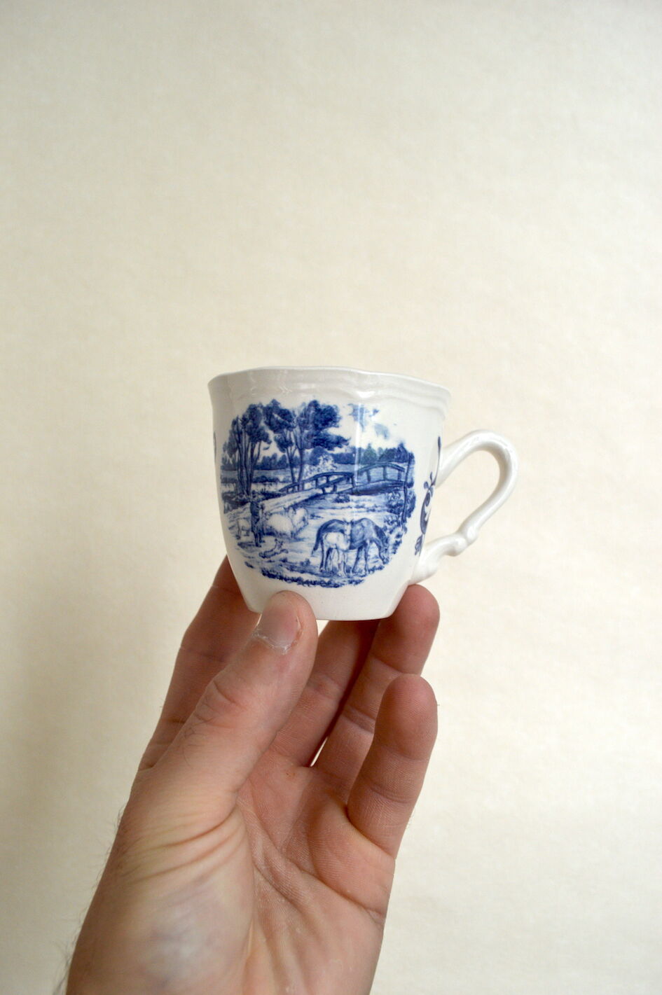 6 cups Sarreguemines