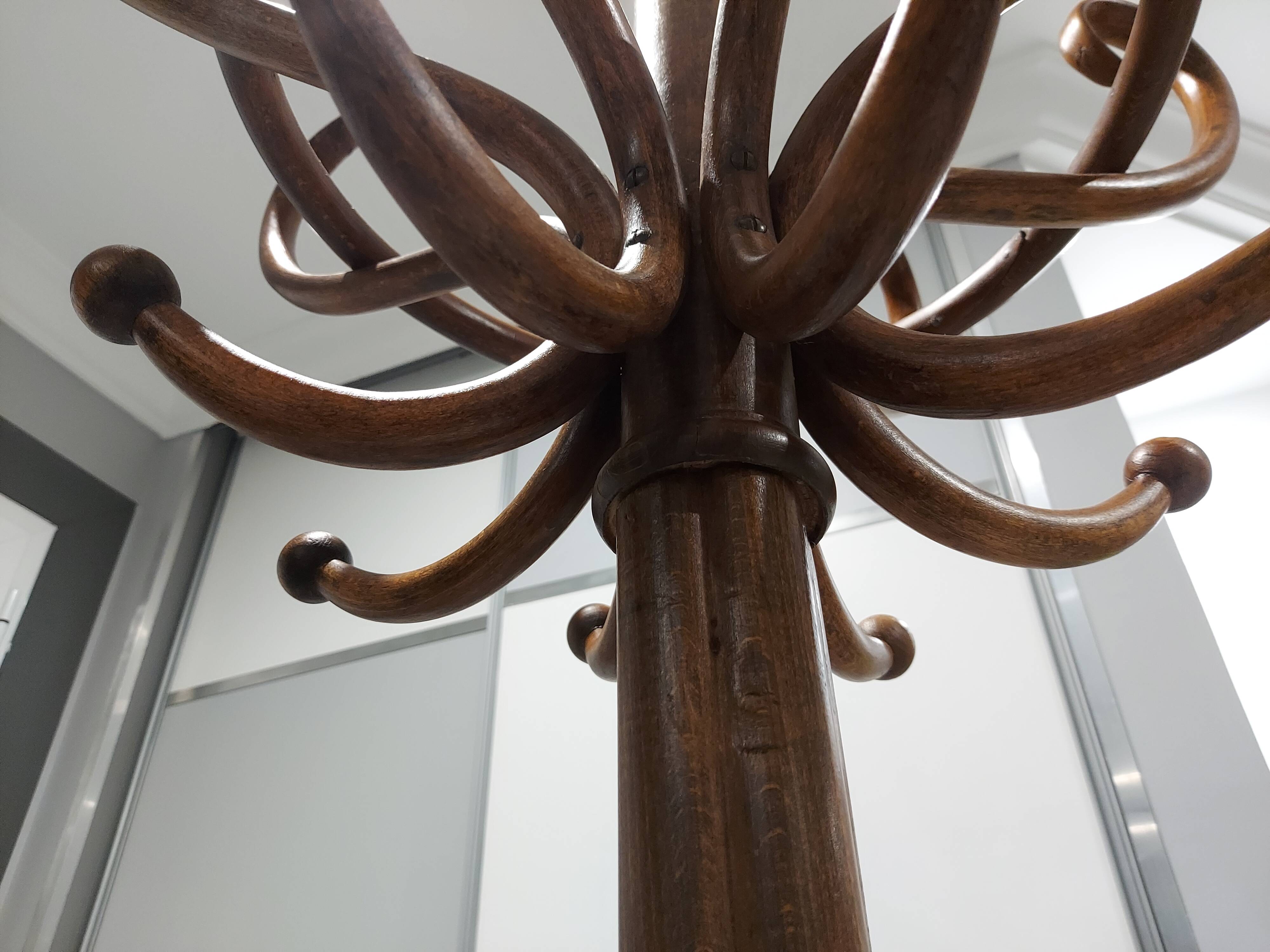 Peroquet coat rack by michael thonet 1900s