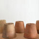5 pots with old seedlings 7/8 cm