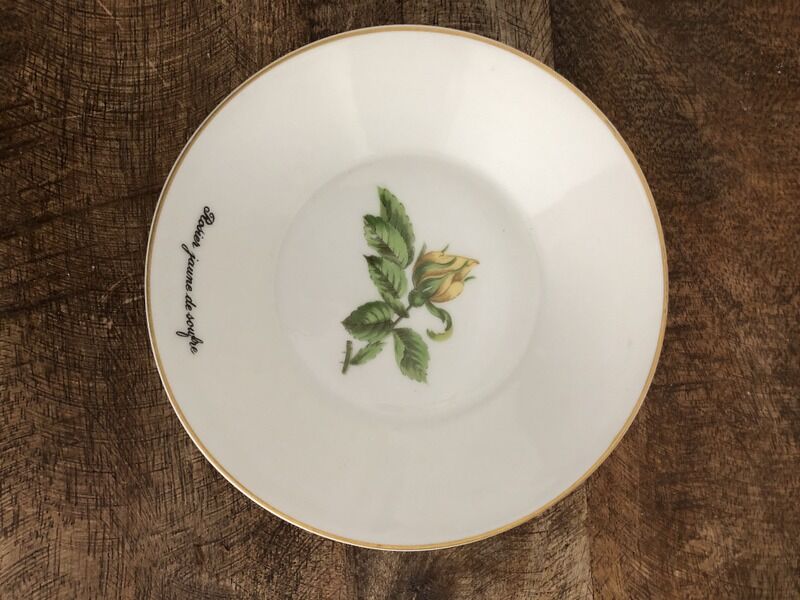 Old coffee cup and saucer