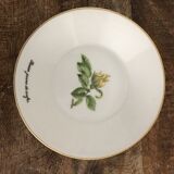 Old coffee cup and saucer