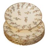 Six Louis XV plates from Sarreguemines