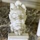 Pair of white statuary marble consoles, with faun heads