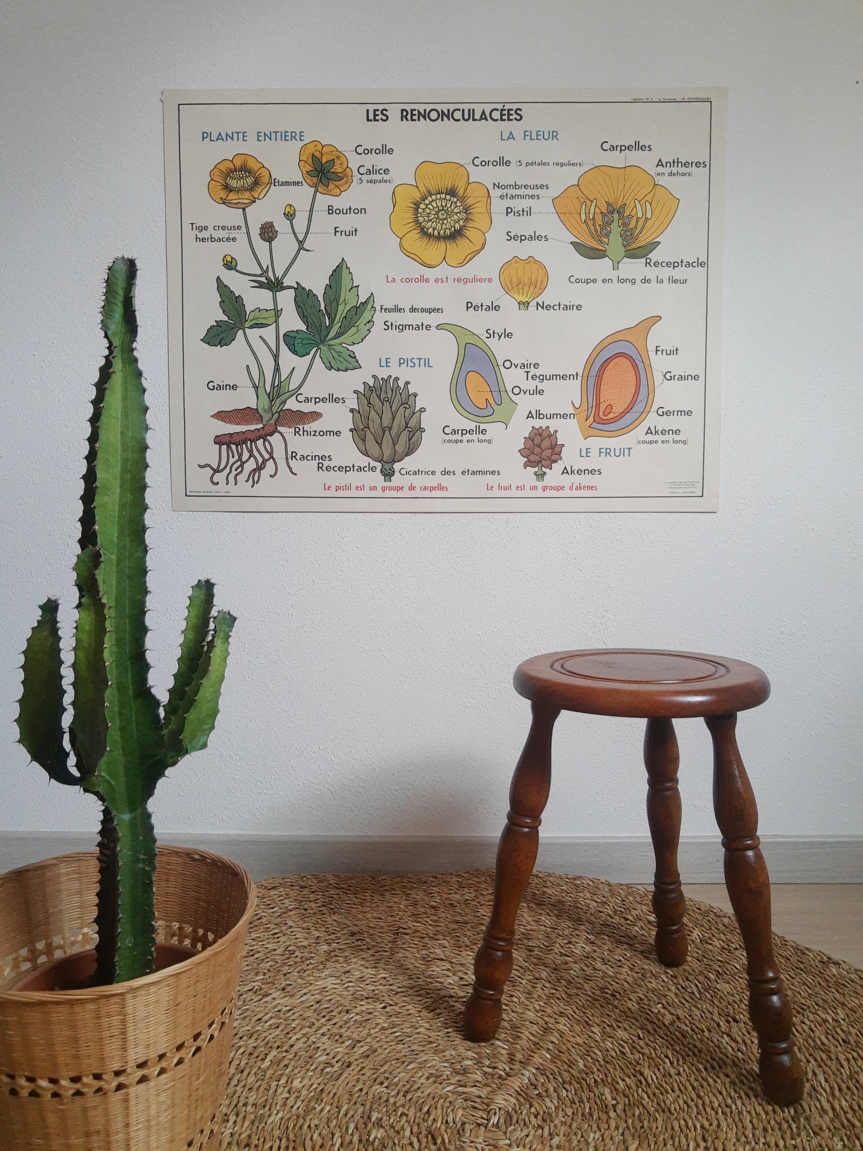 Vintage turned wood tripod country stool